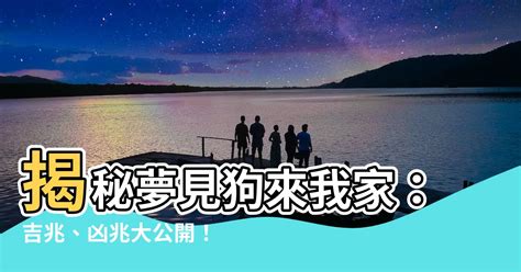 夢見很多人來我家|夢見很多人來我家 周公解夢